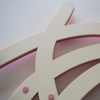 Magnolia x soulangeana